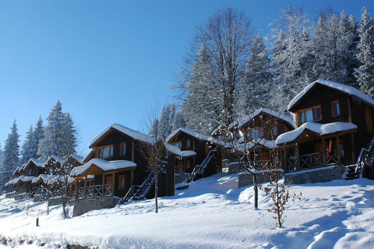 Zitas Zigana Yayla Tatil Koyu Macka Exterior photo
