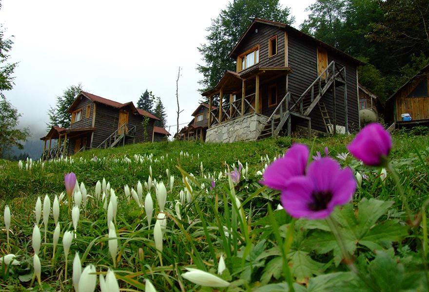 Zitas Zigana Yayla Tatil Koyu Macka Exterior photo