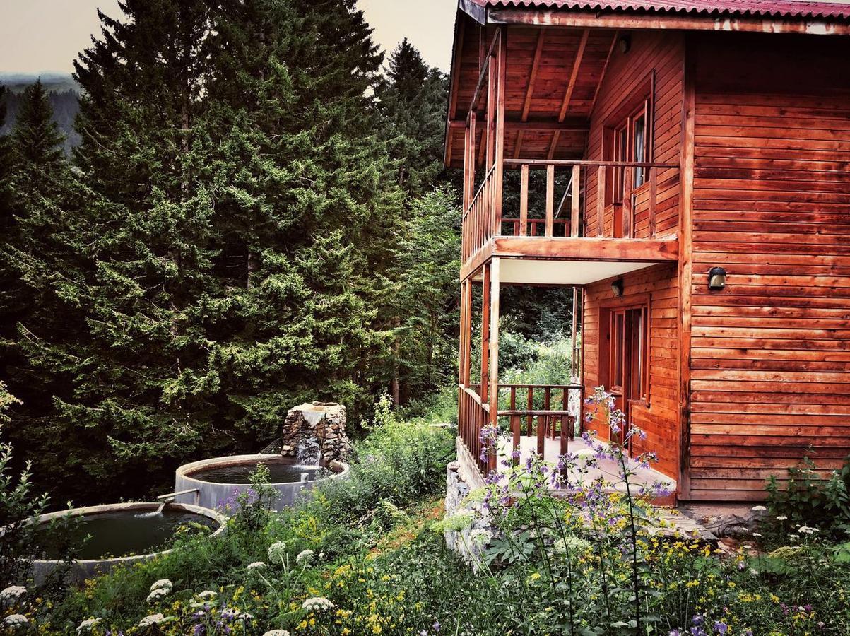 Zitas Zigana Yayla Tatil Koyu Macka Exterior photo